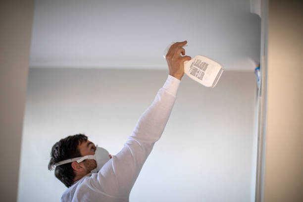 Best Best Mold Removal Companies  in Mount Shasta, CA