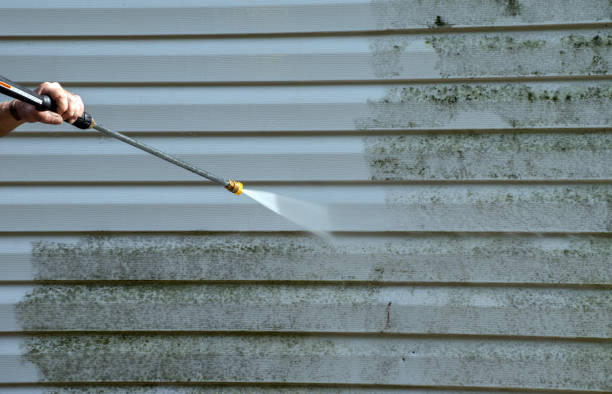 Best Mold Damage Repair  in Mount Shasta, CA