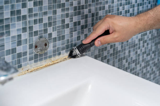 Best Professional Mold Removal  in Mount Shasta, CA