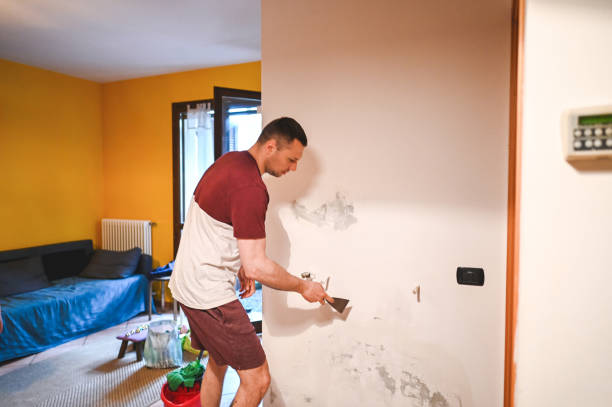 Best Mold Cleaning Services  in Mount Shasta, CA